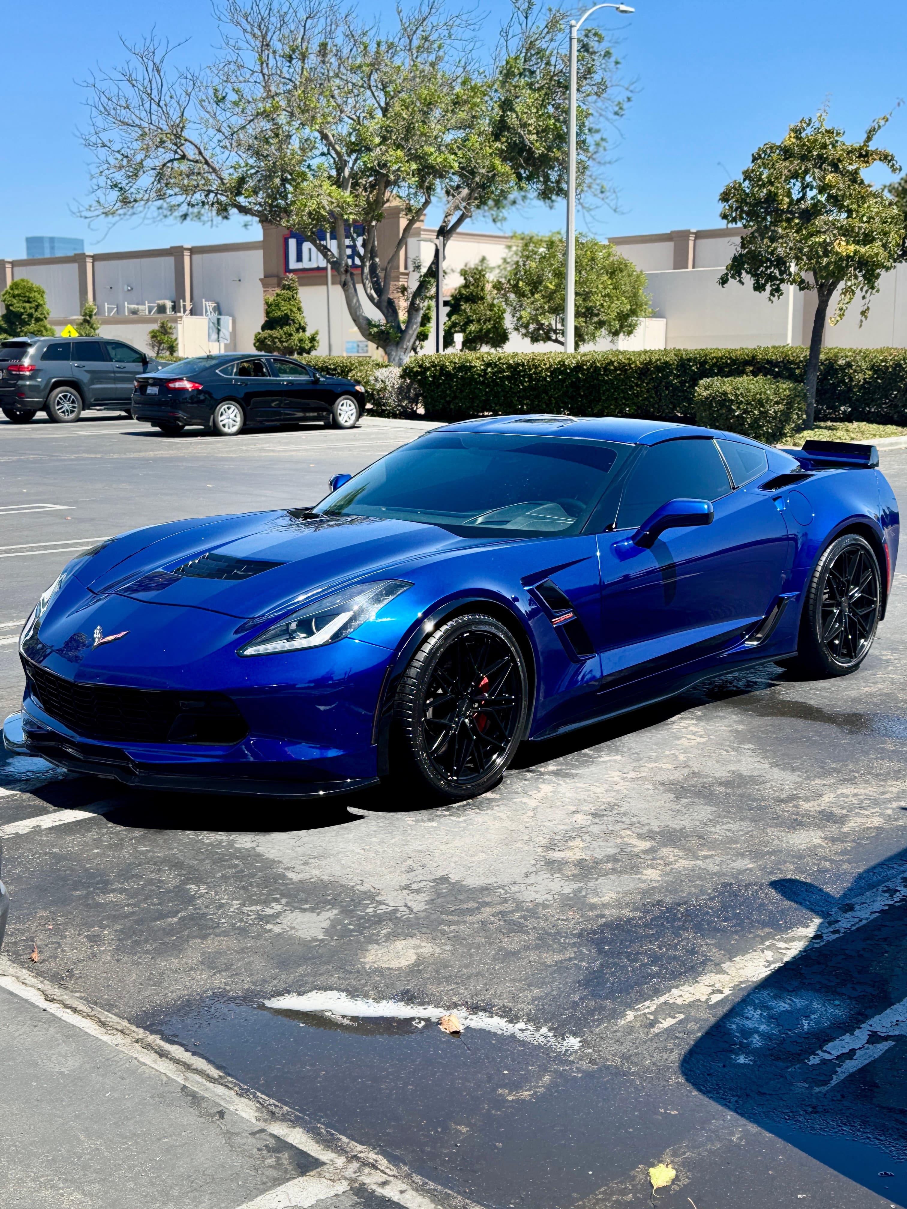 Elite detail – paint perfection